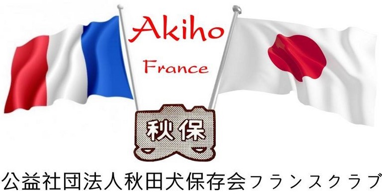 Bannière AKIHO France