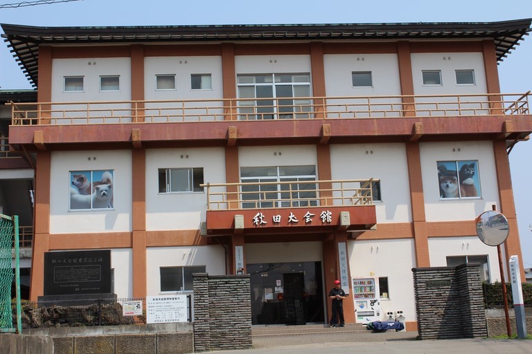 Akita Inu Hall