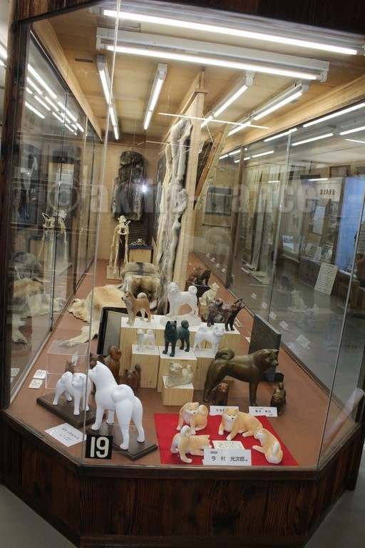 musée Akita