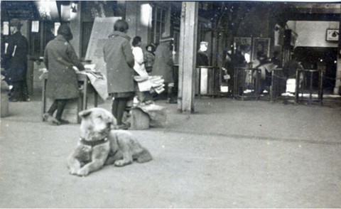 Hachiko