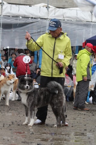 Expo Akiho Japon