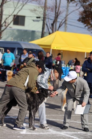 Expo Akiho Japon