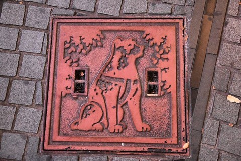 plaque d'égout Akita